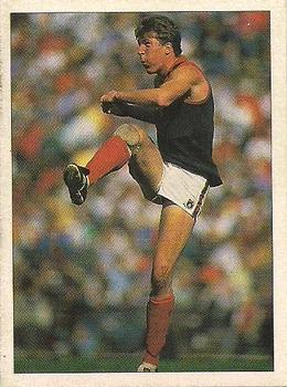 1992 Select AFL Stickers #3 Jim Stynes Front